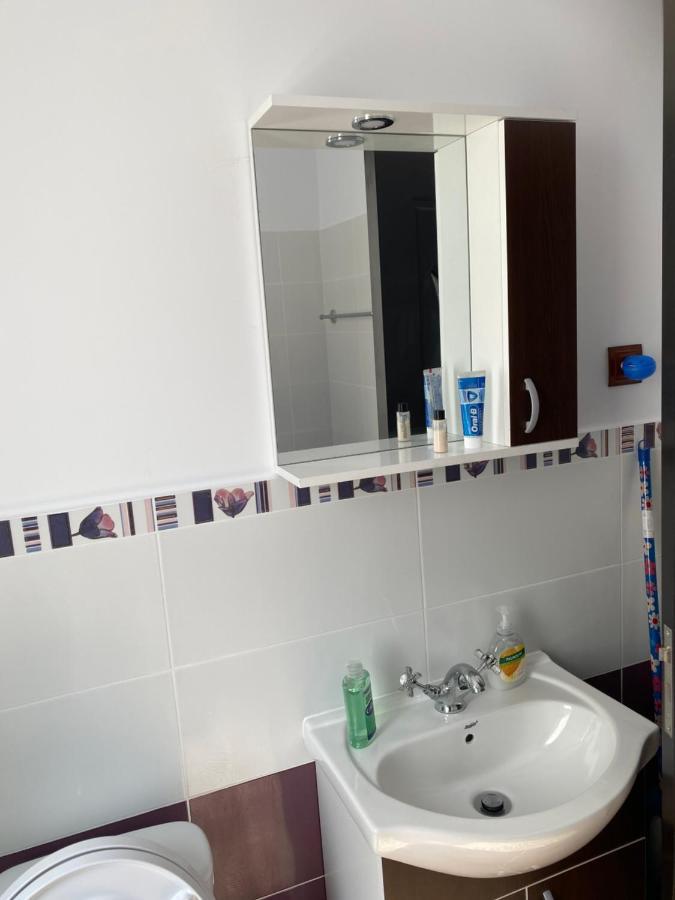 Luxury Apartment Satu Mare Exterior foto
